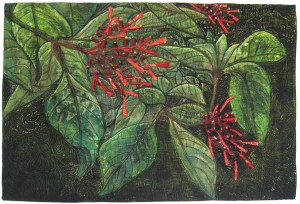 "Foliage" by Gabrielle DiTota won first place at 2016 100% Pure Florida at the Fifth Avenue Art Gallery.