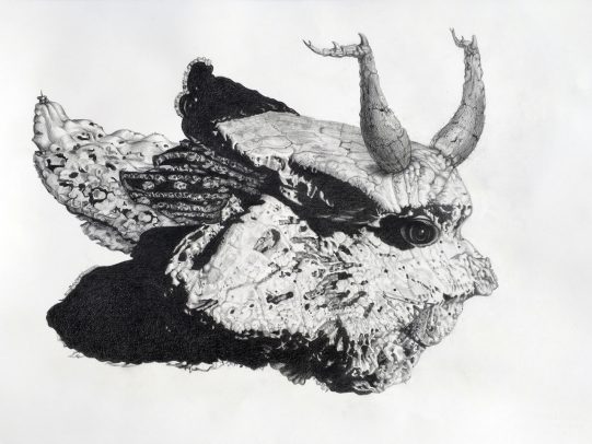 Nancy Dillen’s “Hornbug” from 2017. Graphite on Arches Cover text paper, 22.5” H x 30” W. © N. Baur Dillen