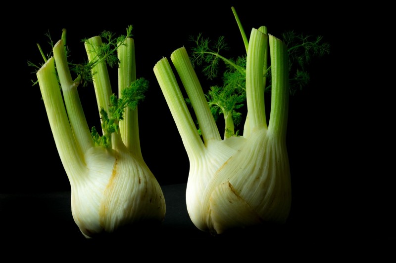 fennel